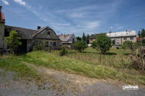 DSC09880