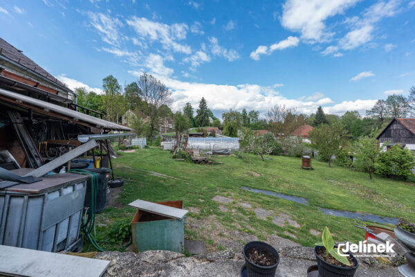 DSC00006